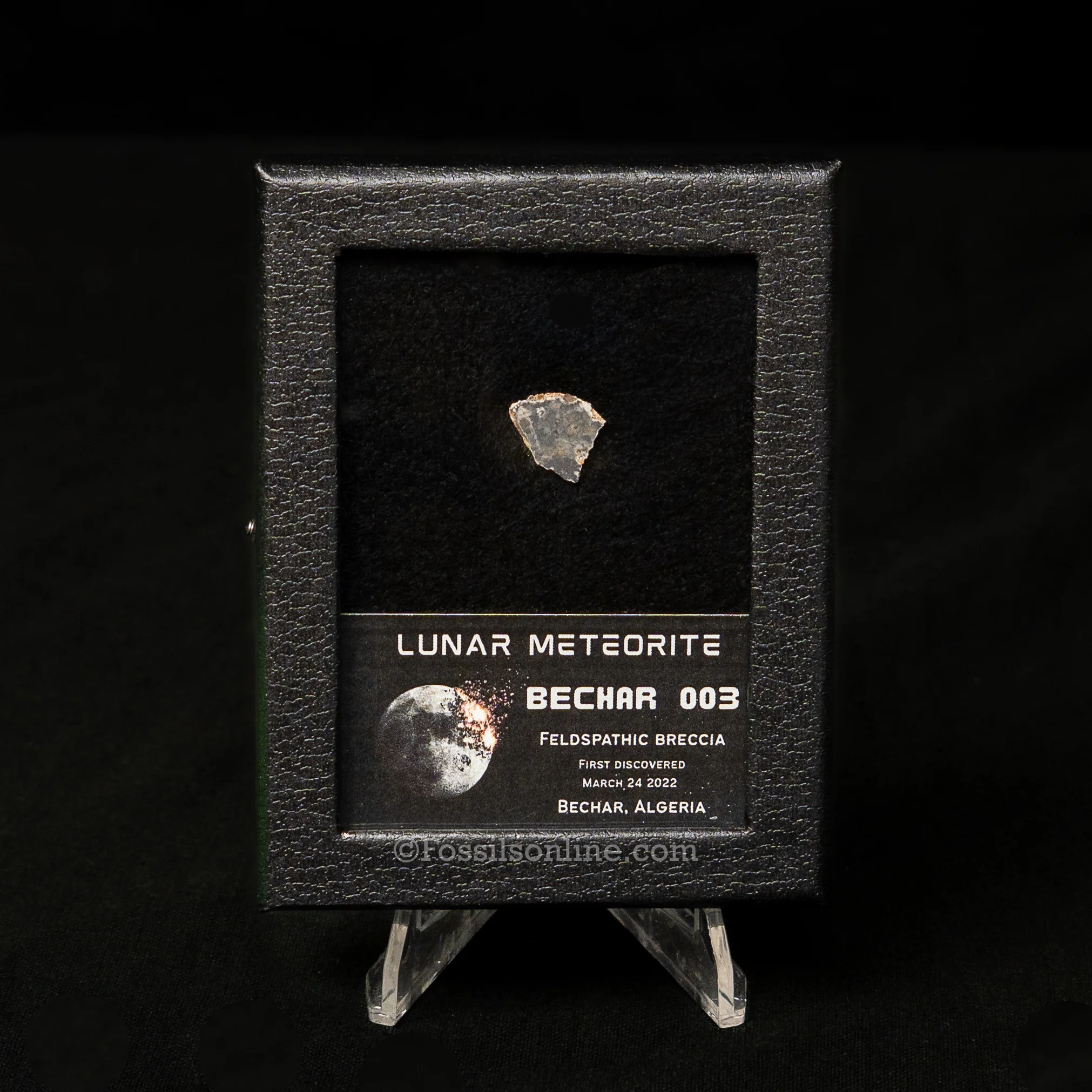 Bechar 003 Lunar Meteorite Slice - Image 3