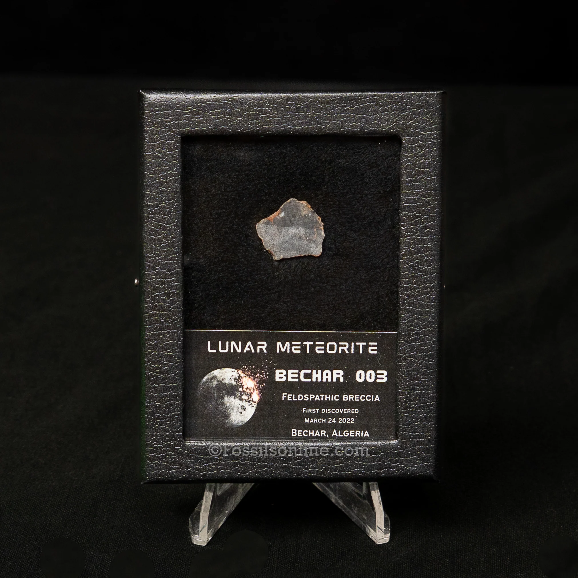 Bechar 003 Lunar Meteorite Slice - Image 4