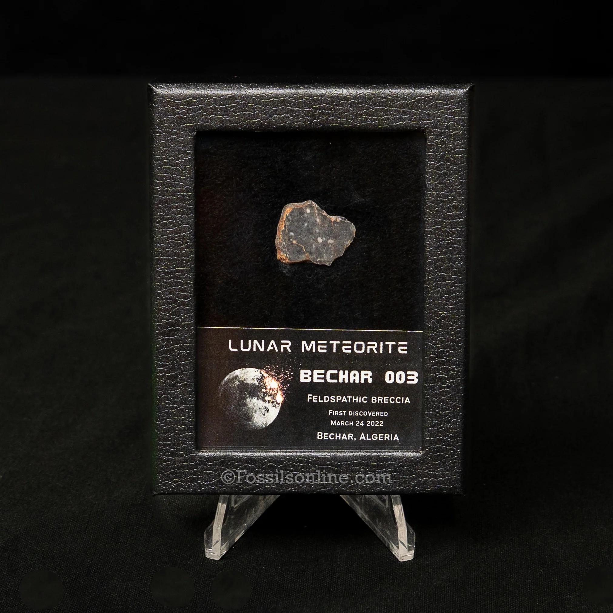Bechar 003 Lunar Meteorite Slice - Image 5