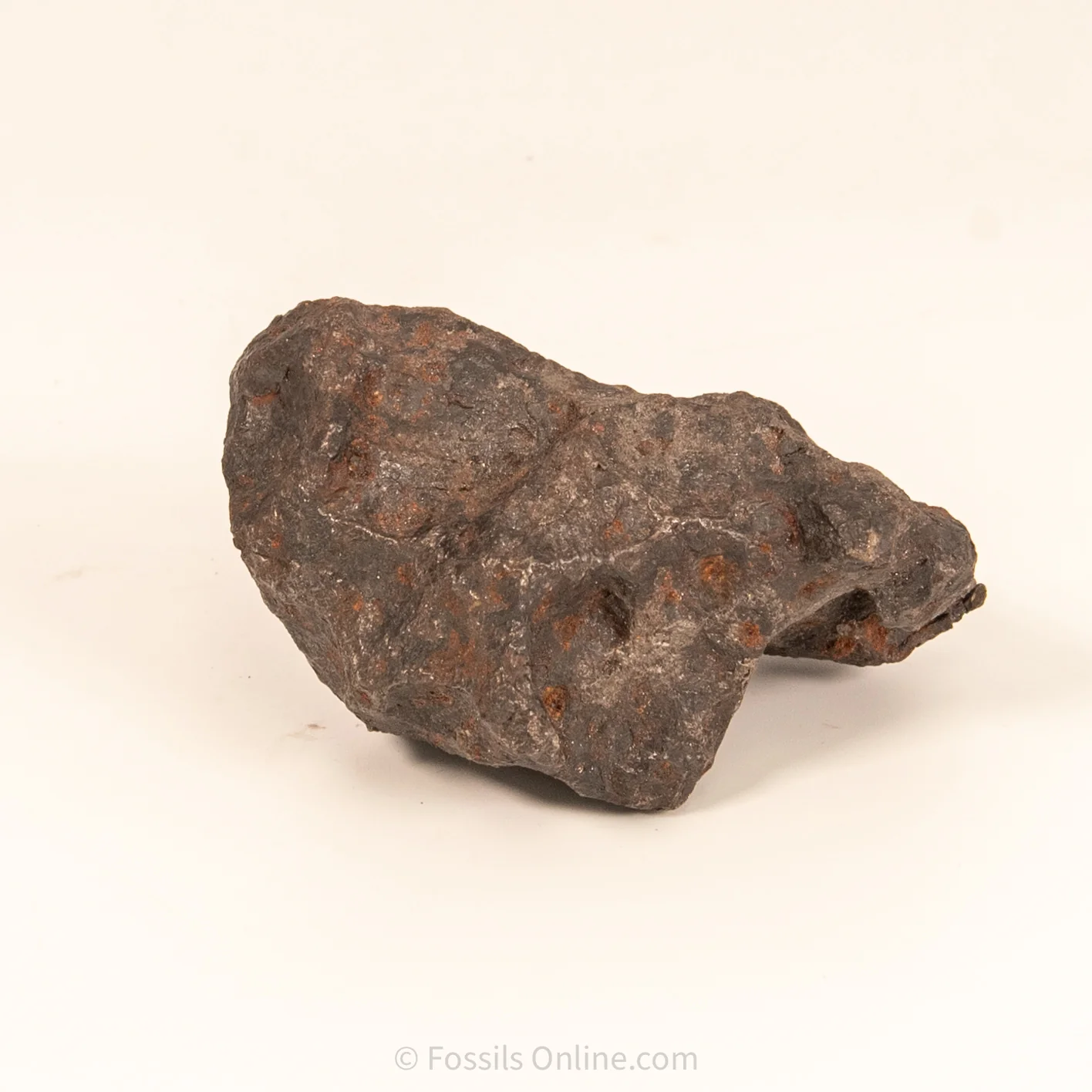 Campo del Cielo Meteorite 1030g - Image 3