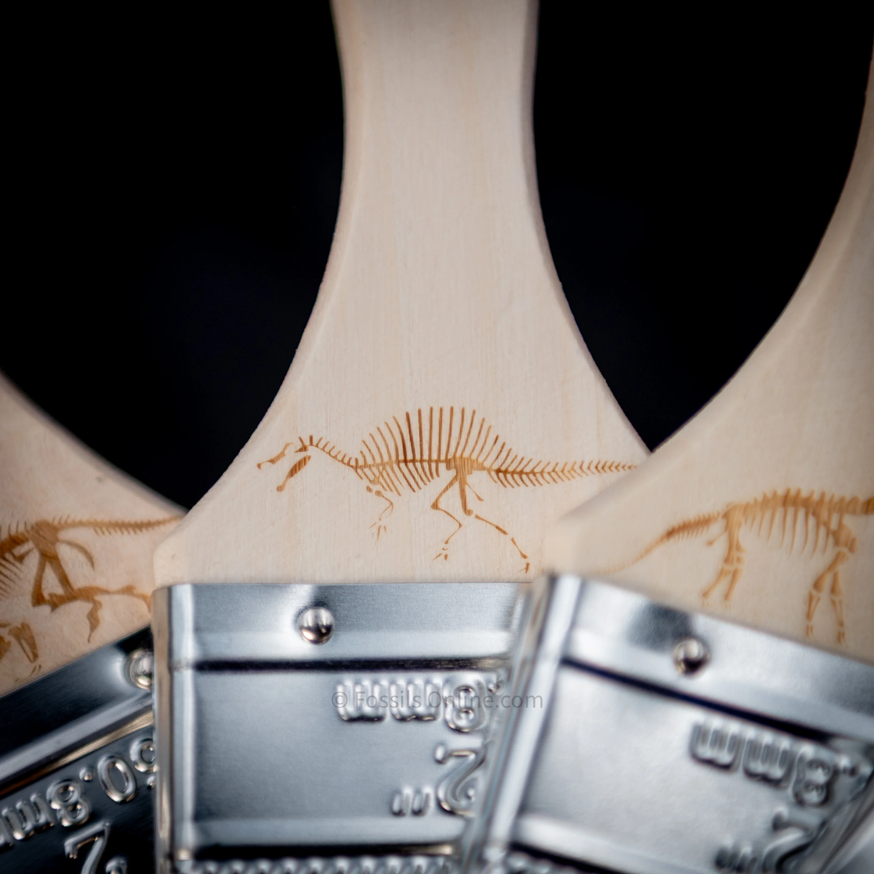 Engraved Dinosaur Fossil Digging Brushes - Image 3