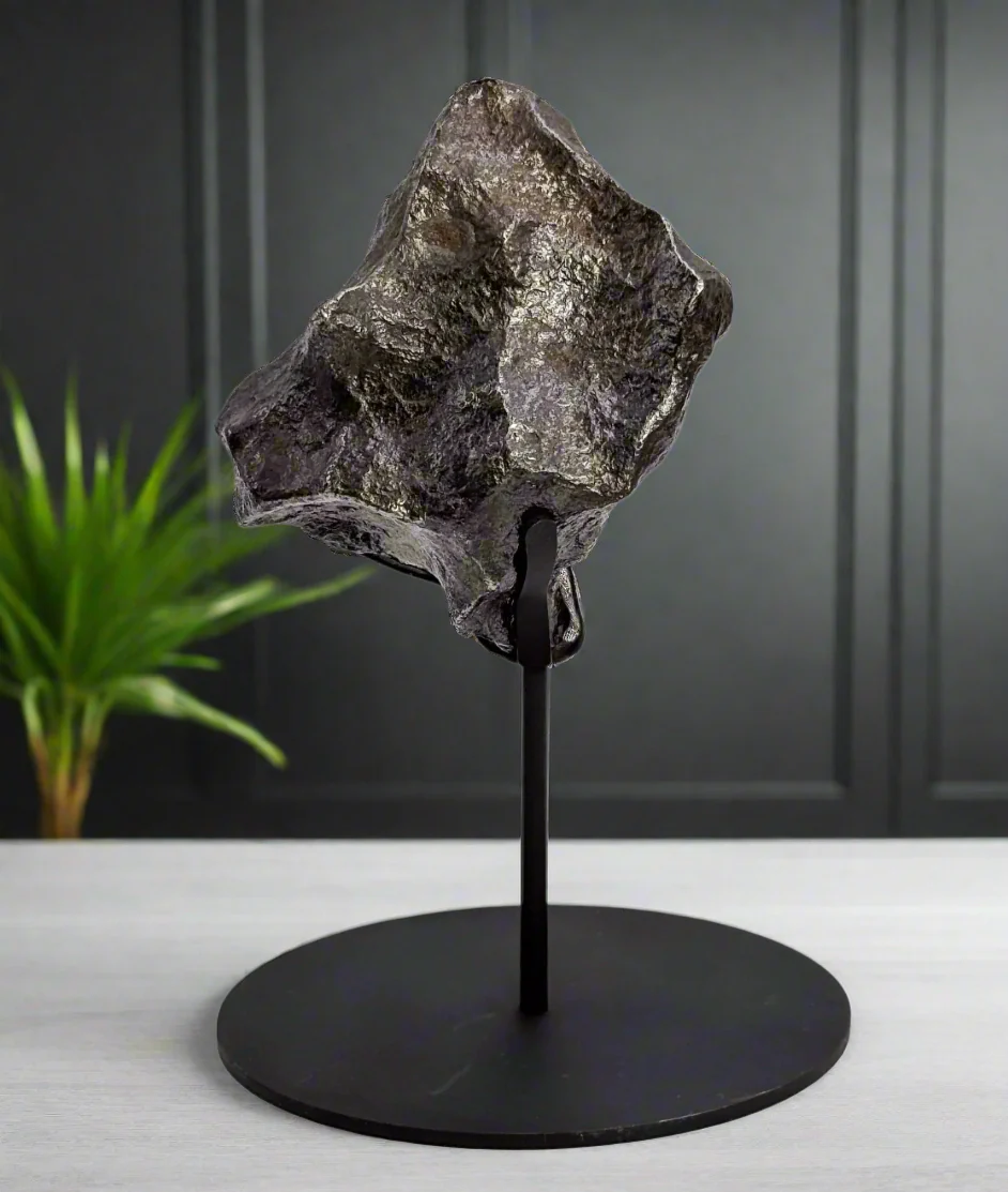 Cross Stand - Universal Display Stand - Image 5