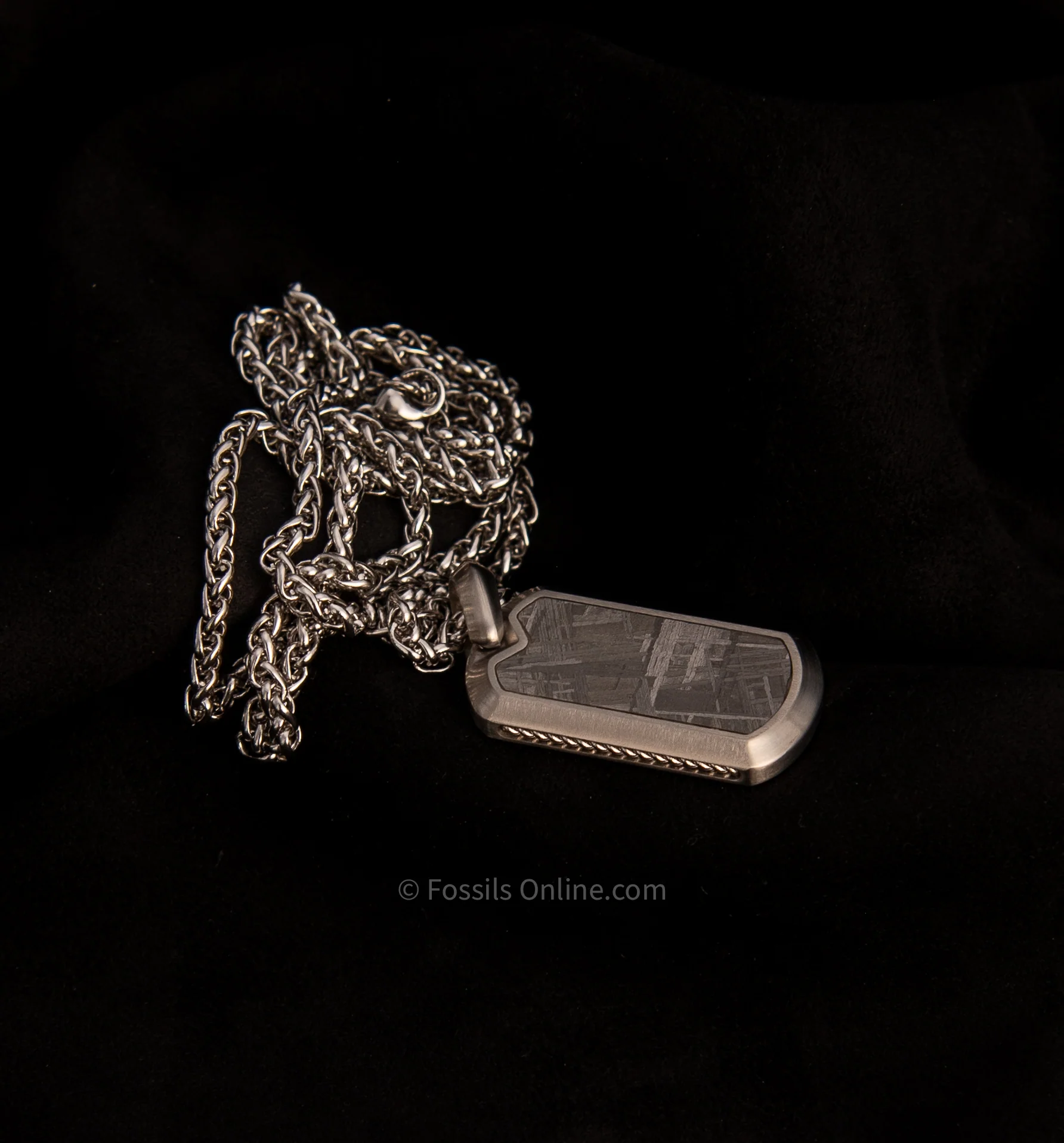 Muonionalusta Meteorite Pendant with Necklace SST - Image 3