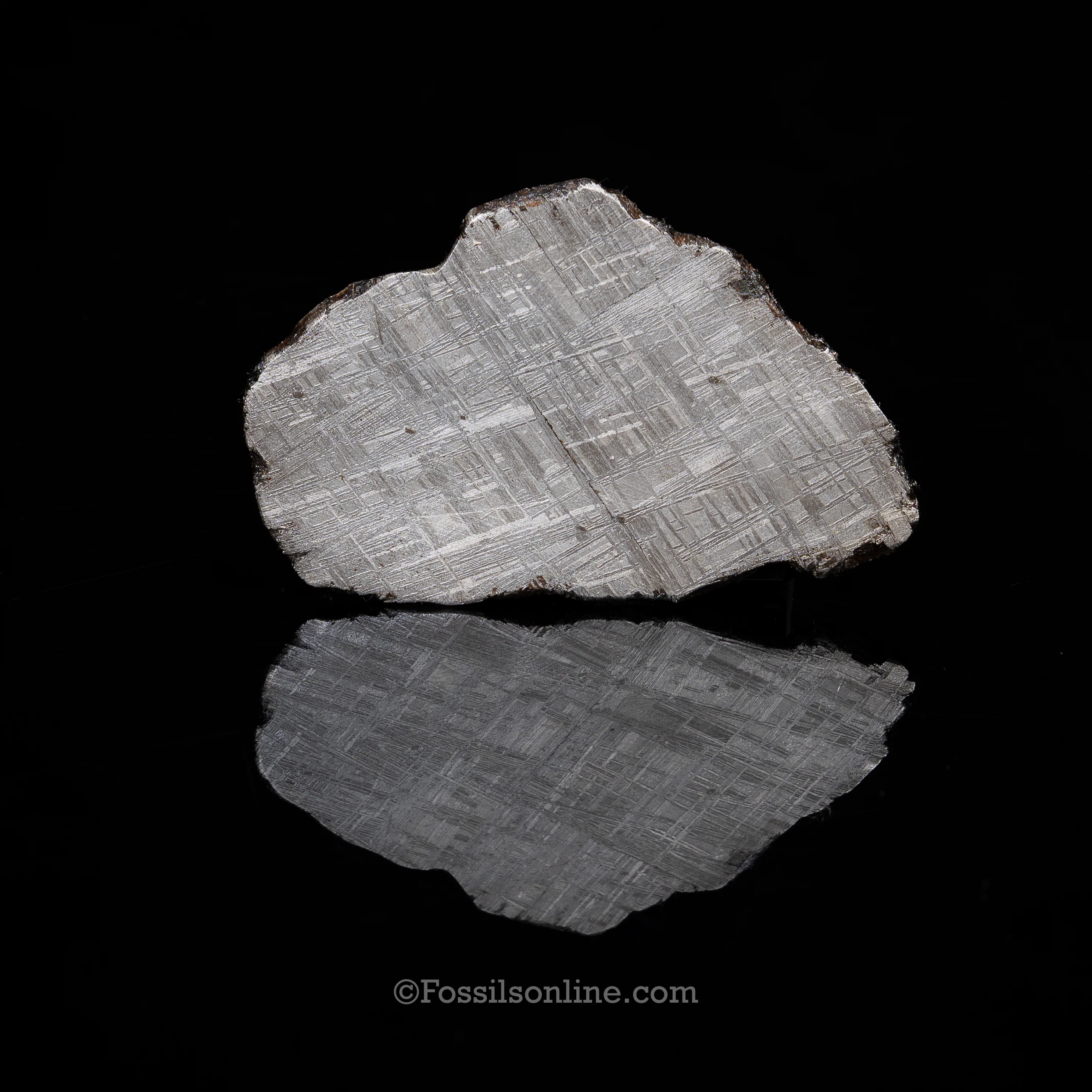 Muonionalusta Meteorite Slice 127.5gr