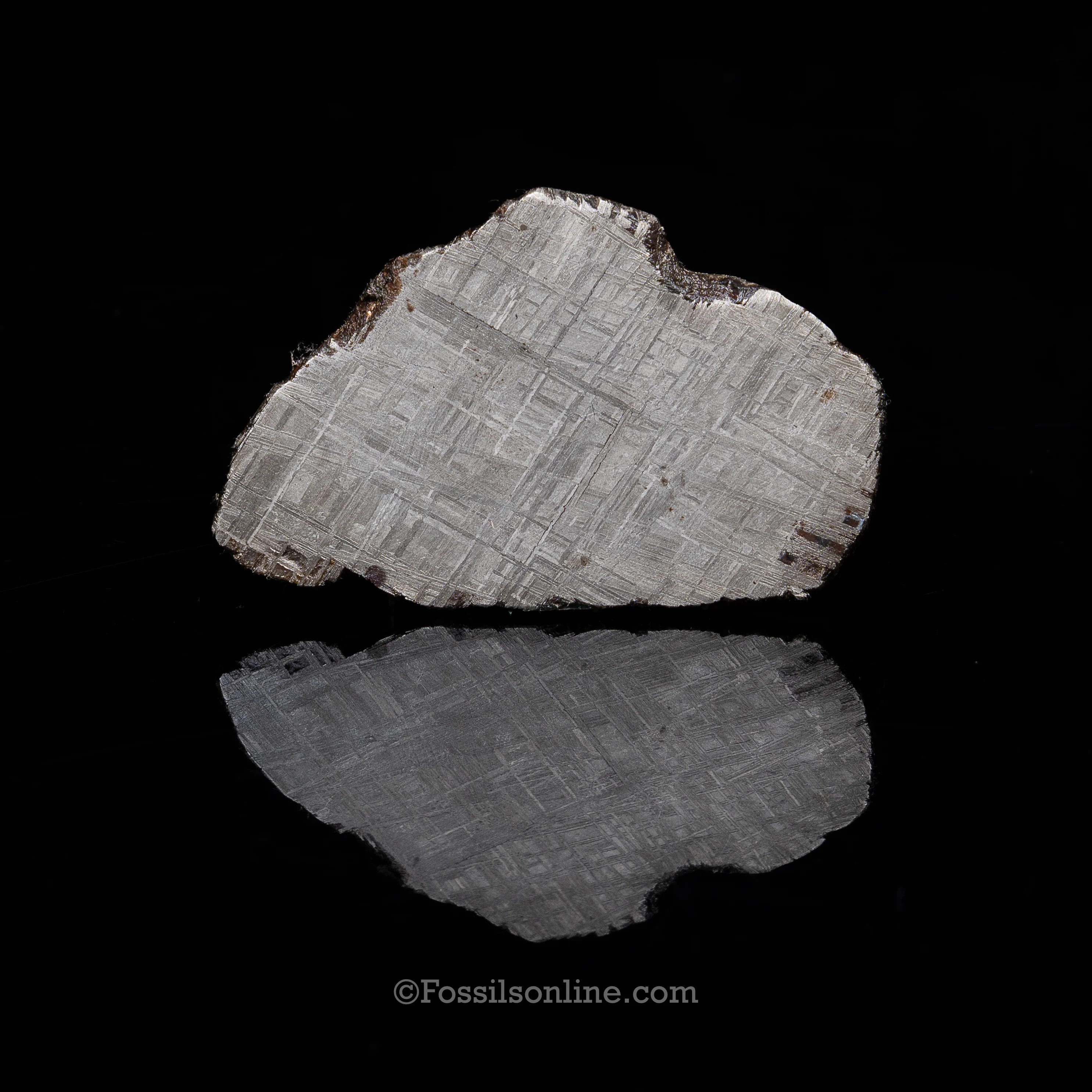 Muonionalusta Meteorite Slice 127.5gr - Image 2