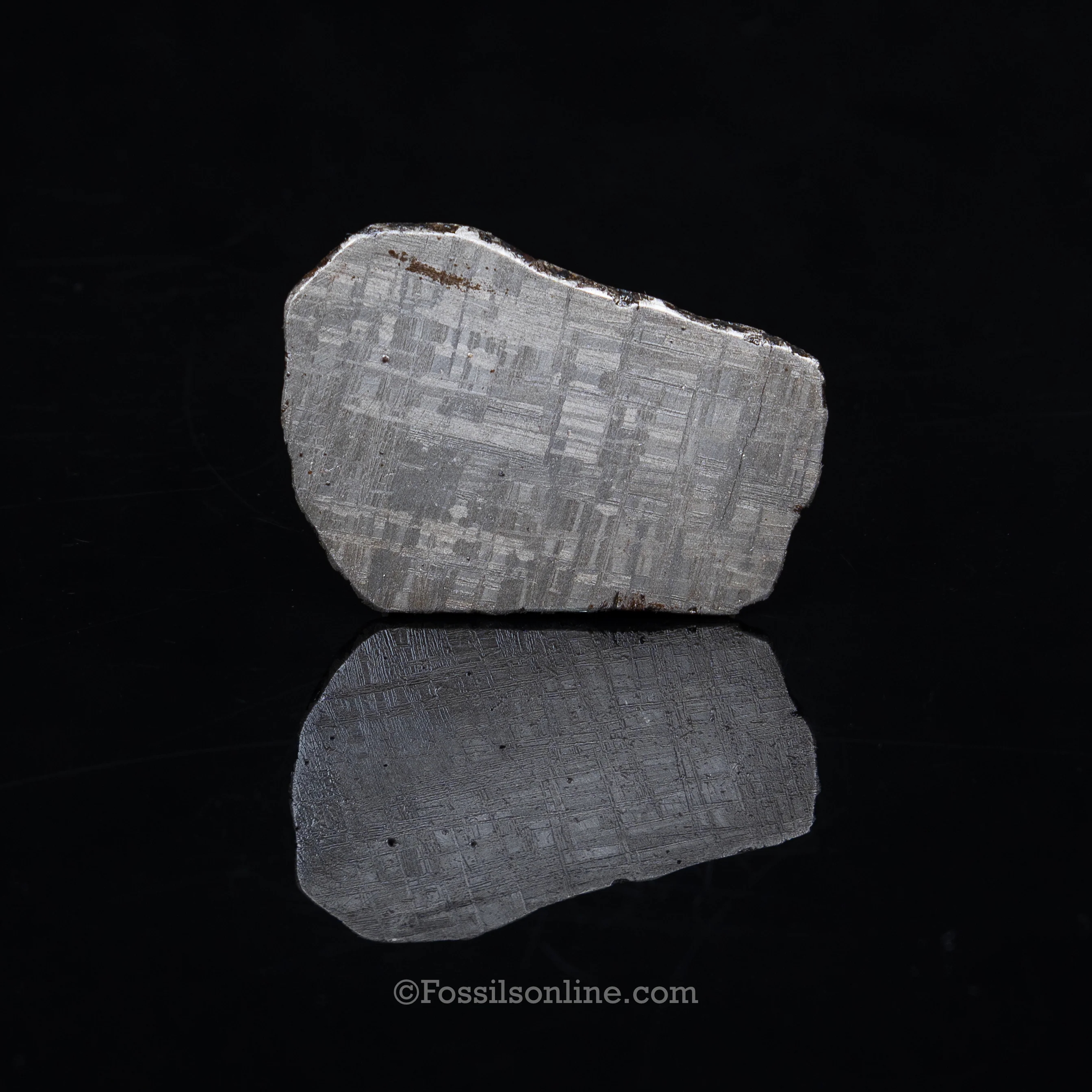 Muonionalusta Meteorite Slice 74.5gr