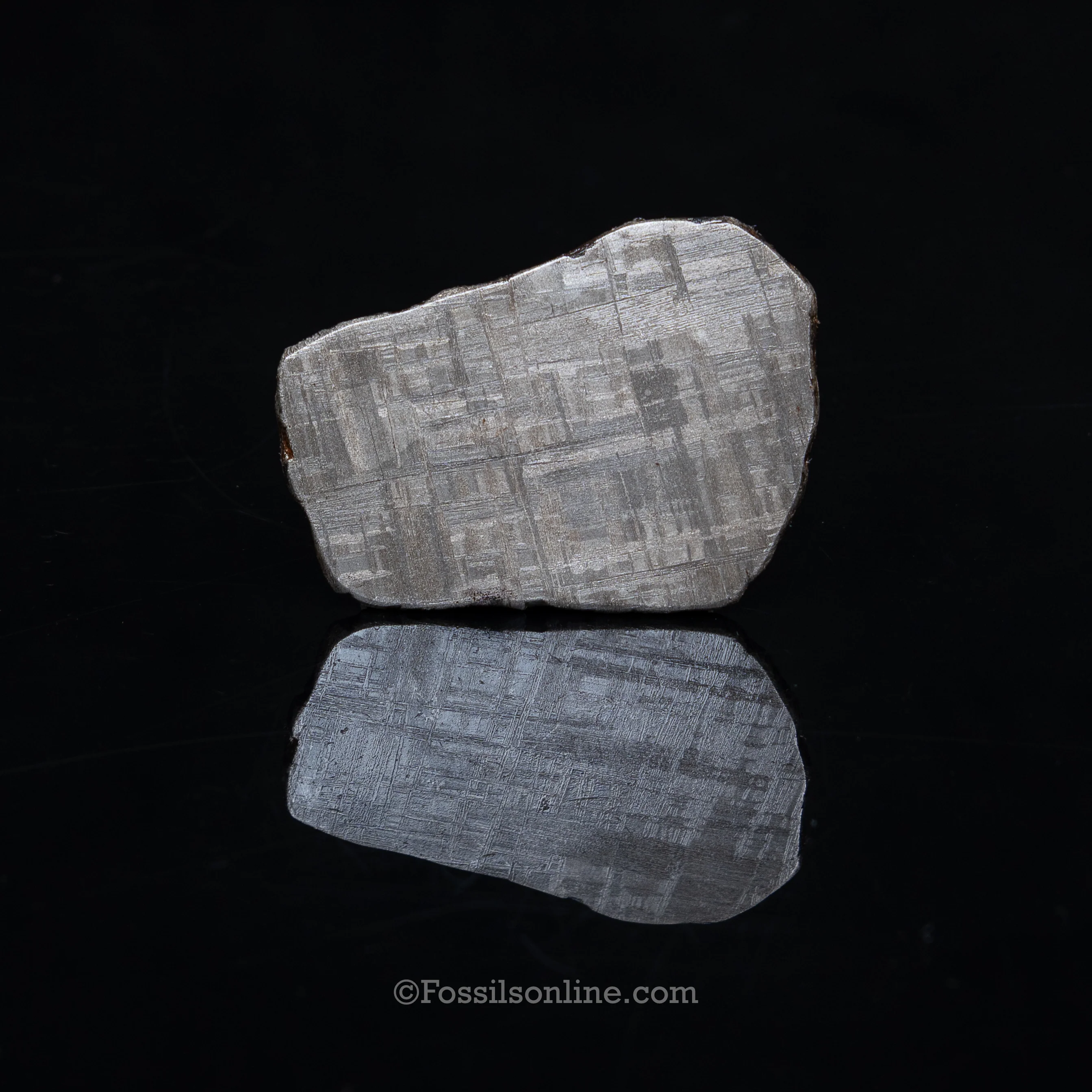 Muonionalusta Meteorite Slice 74.5gr - Image 2