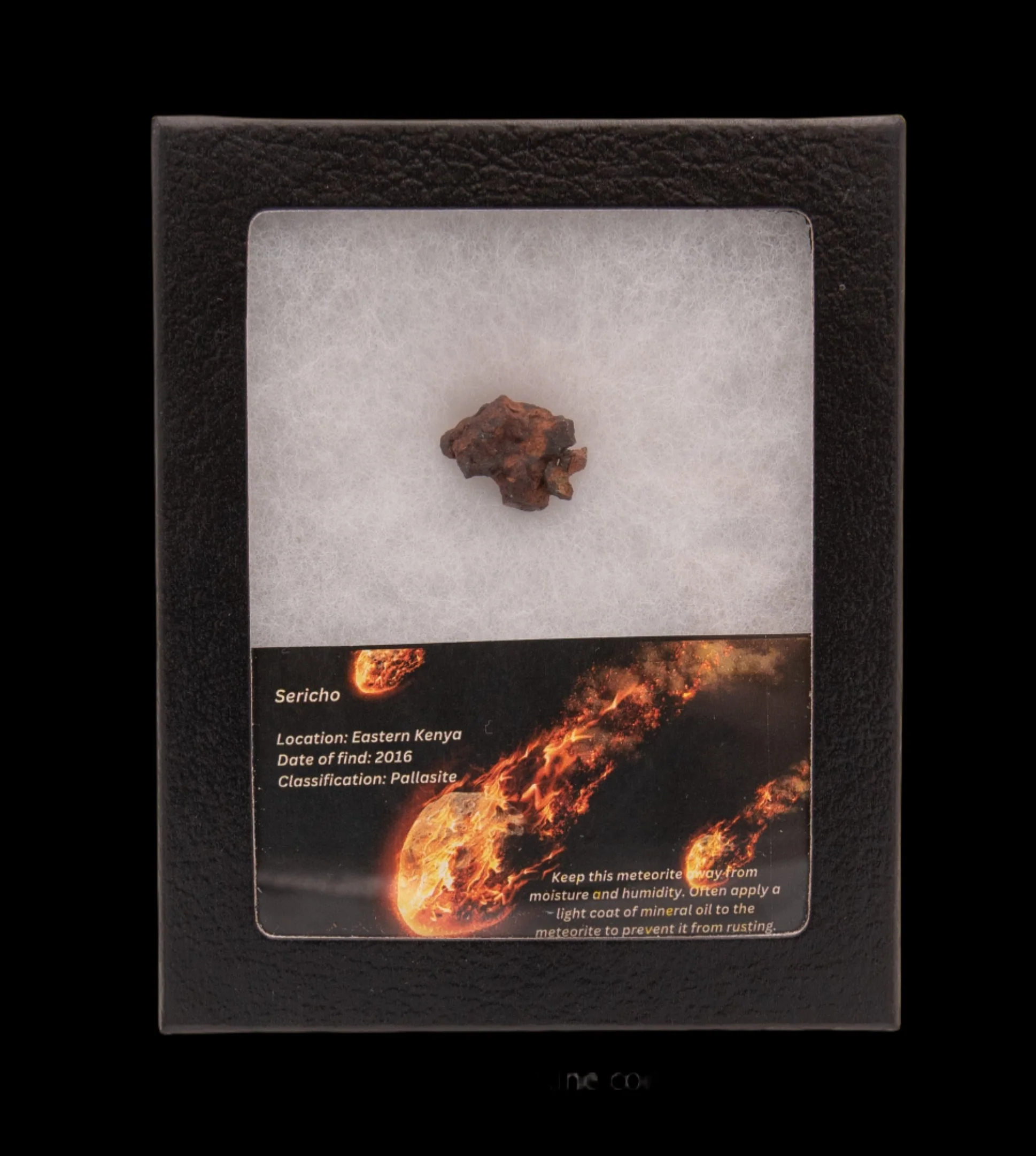 Sericho Meteorite in a case