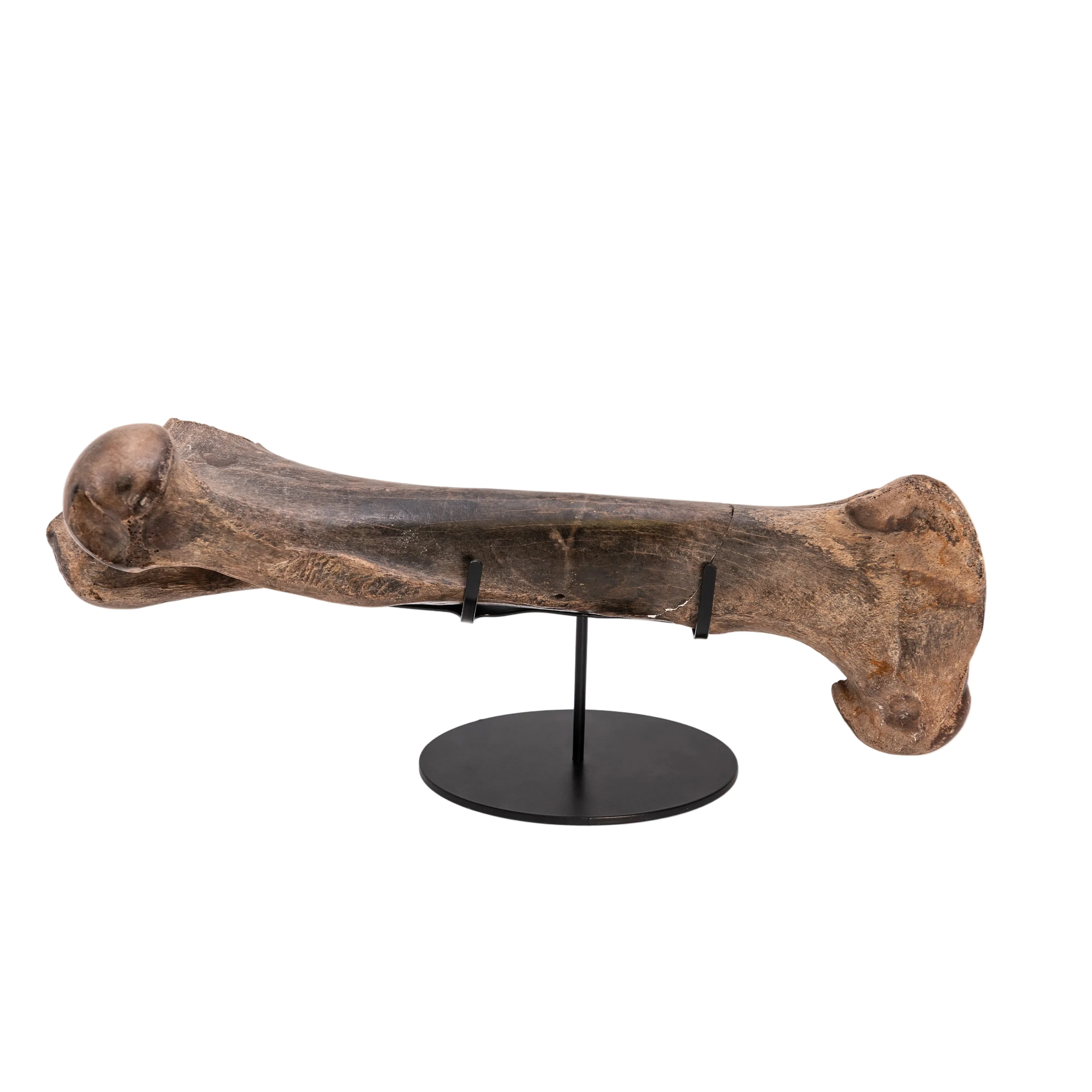 Double Cross - Universal Display Stand - Image 5