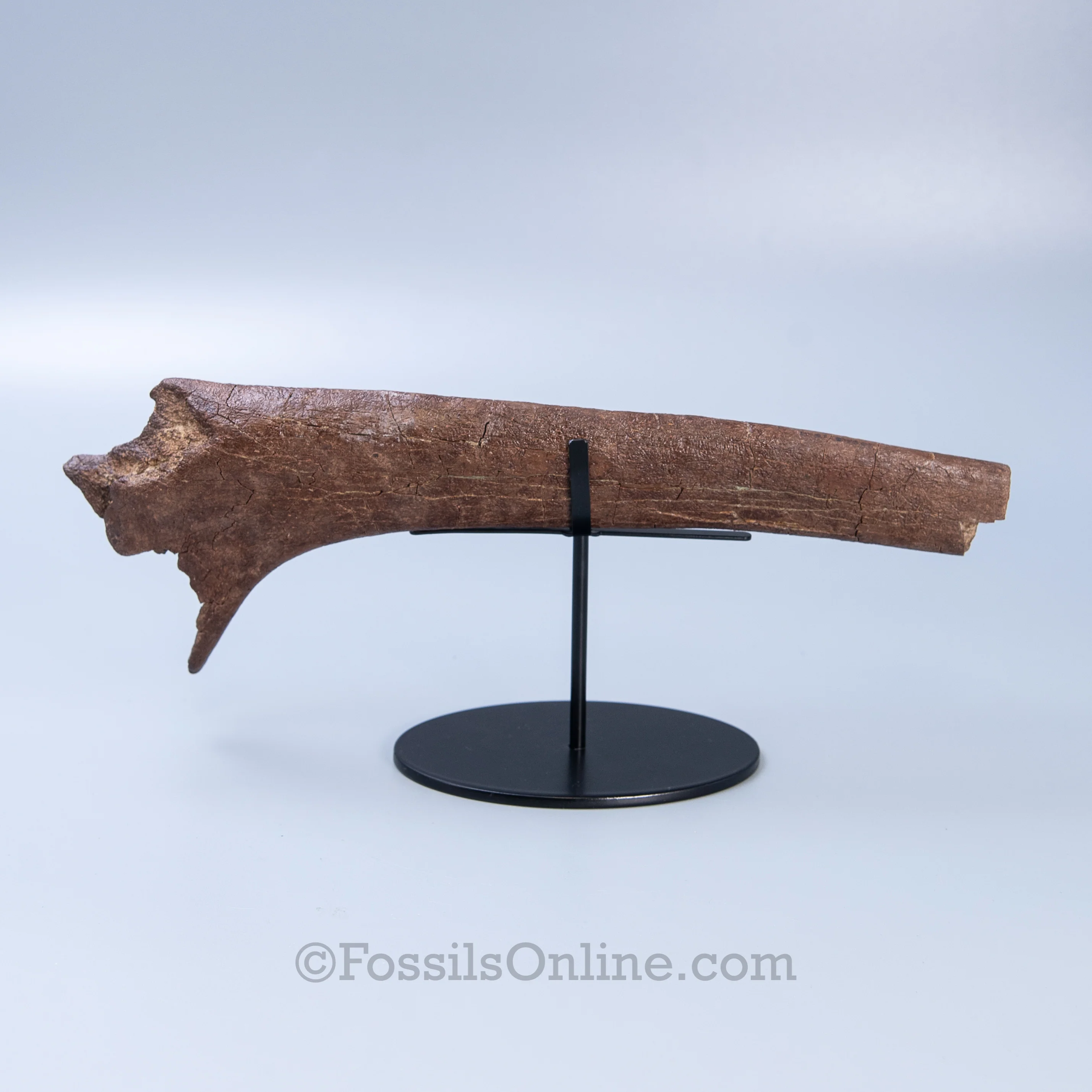 Double Cross - Universal Display Stand - Image 6